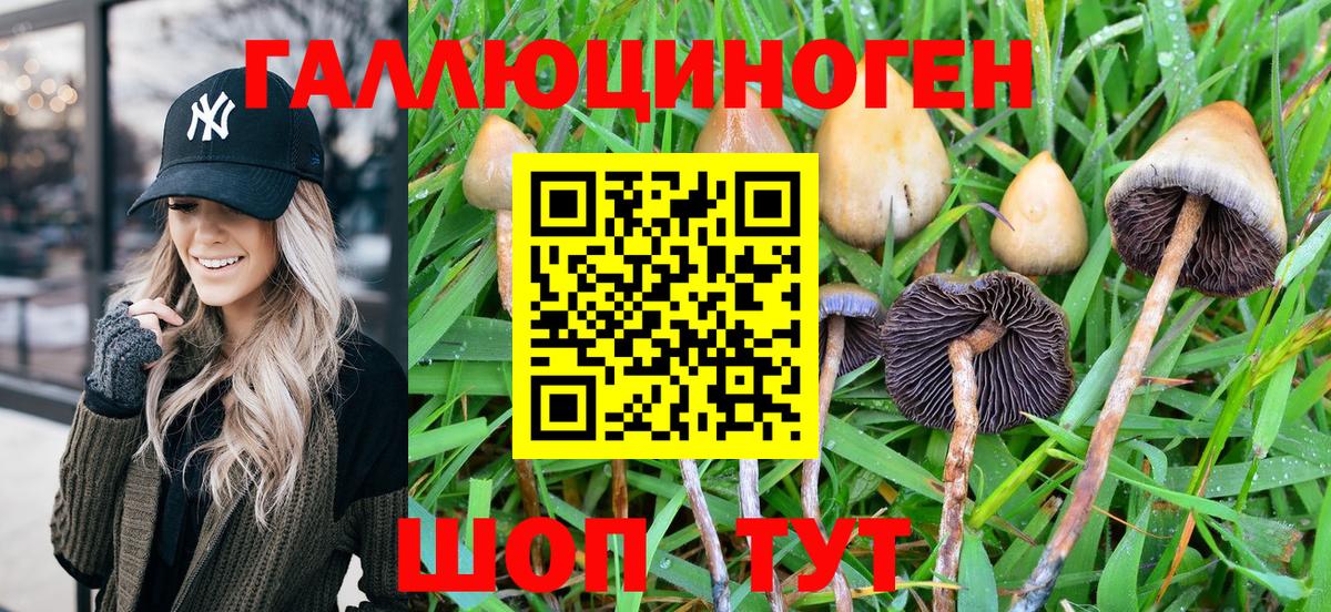 Галлюциногенные грибы мухоморы  Псилоцибиновые грибы MAGIC MUSHROOMS  Вход с VPN  Волгодонск 
