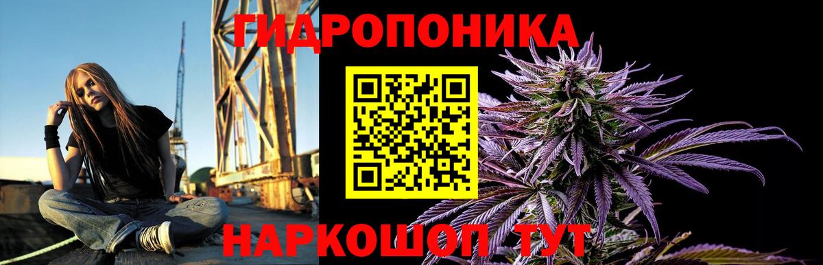 Канабис White Widow  Канабис конопля  Вход с VPN  Волгодонск  Шишки марихуана OG Kush 